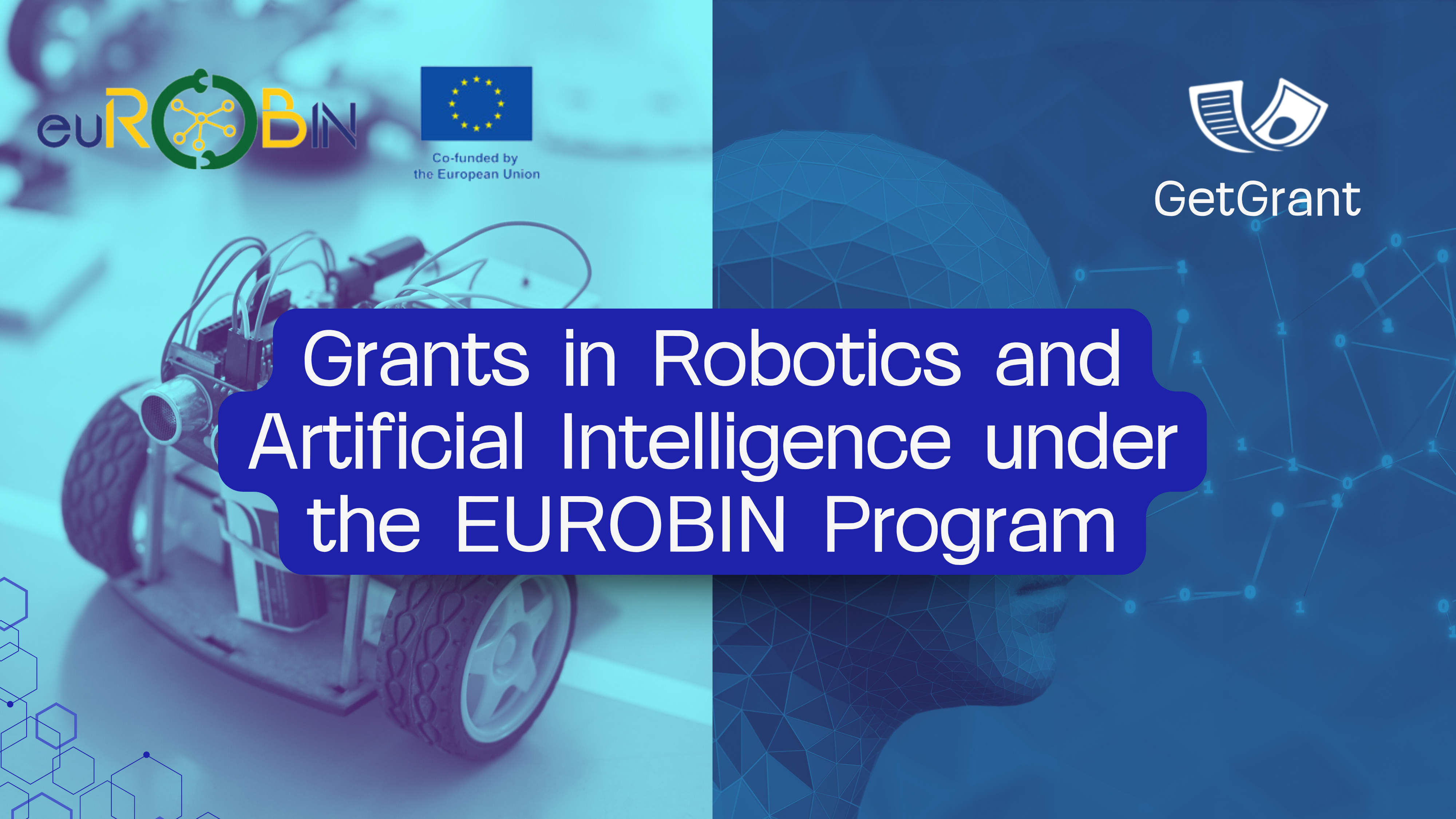Grants for Robotics and AI: The EUROBIN Program