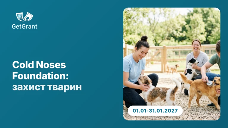 Cold Noses Foundation: гранти організаціям із захисту тварин у Європі, вікно подання з 1 по 31 січня 2027
