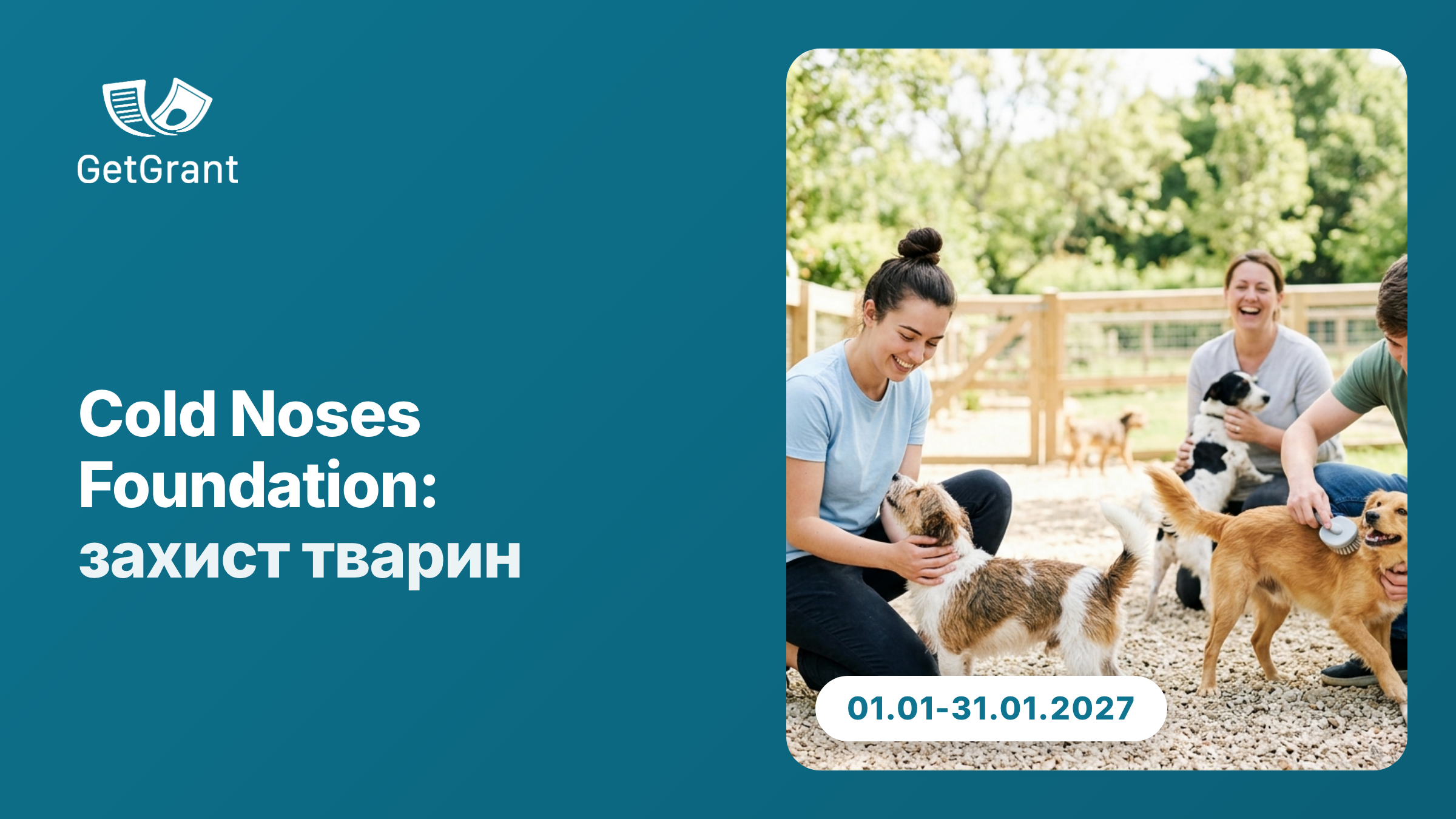 Cold Noses Foundation: гранти організаціям із захисту тварин у Європі, вікно подання з 1 по 31 січня 2027