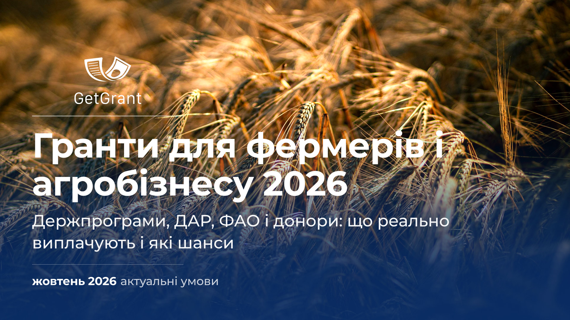 Гранти для фермерів і агробізнесу 2026: держпрограми, ДАР, ФАО і донори. Що реально виплачують і які шанси